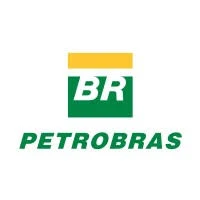 Governo cliente